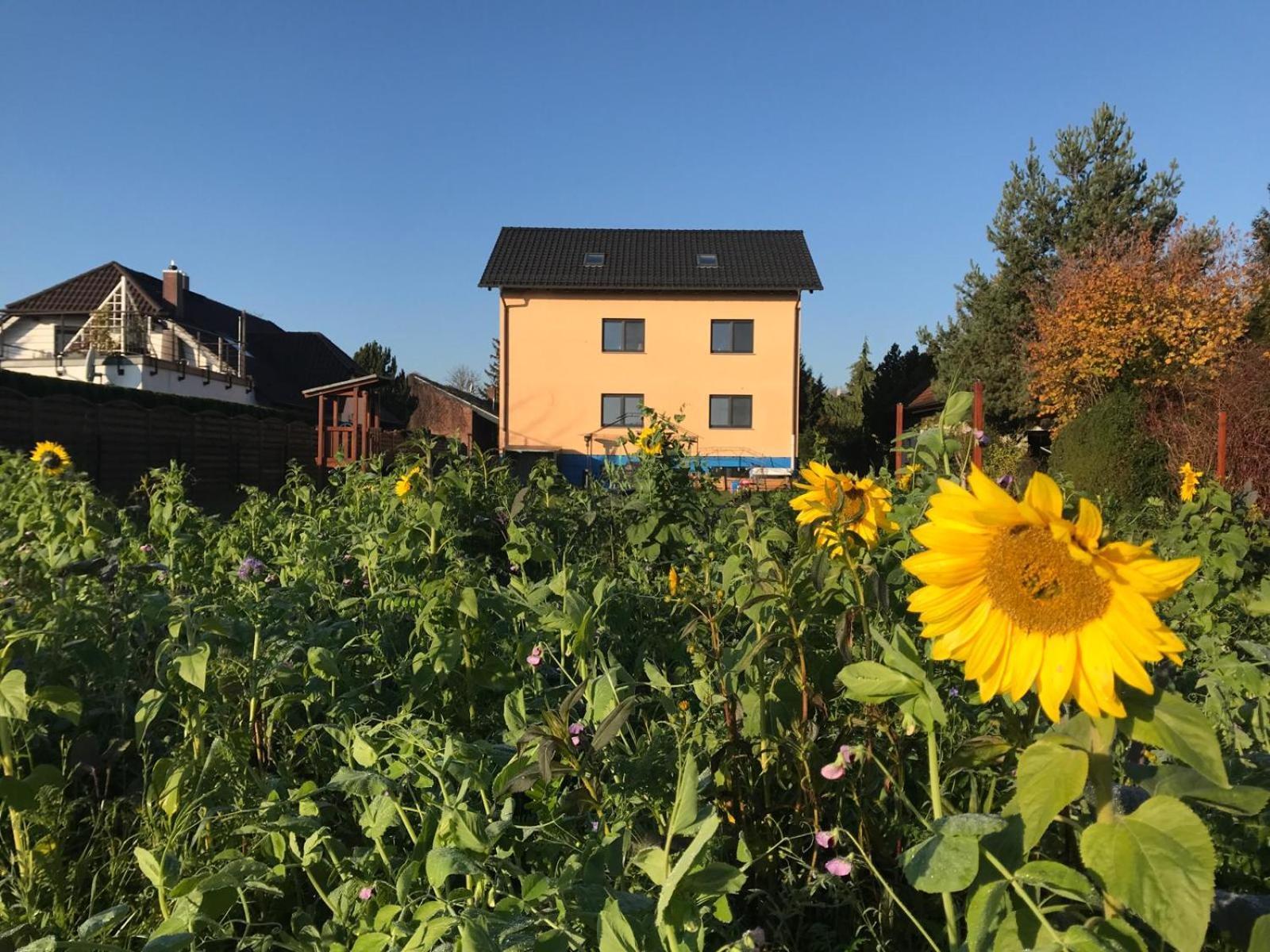 Stadt. Land. See. Ferienwohnung Lipsia Esterno foto